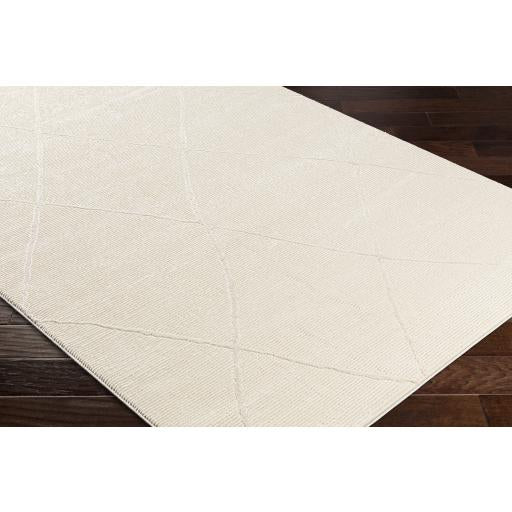 Surya Alder ALD-2300 Cream Ivory 23" x 45" Rug