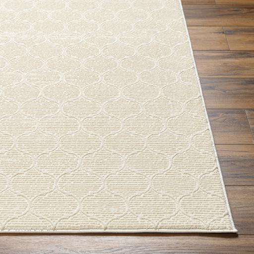 Surya Alder ALD-2307 Cream Ivory 23" x 45" Rug