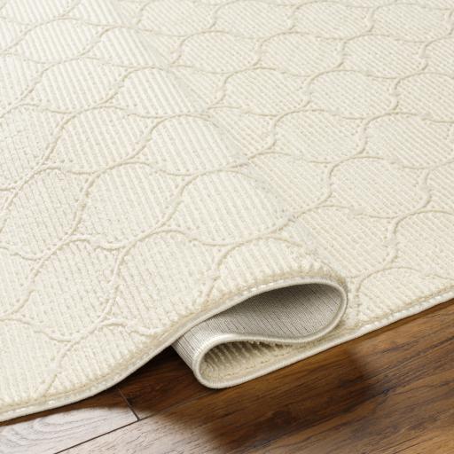 Surya Alder ALD-2307 Cream Ivory 23" x 45" Rug