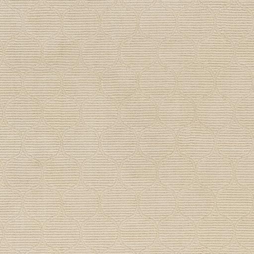 Surya Alder ALD-2307 Cream Ivory 23" x 45" Rug