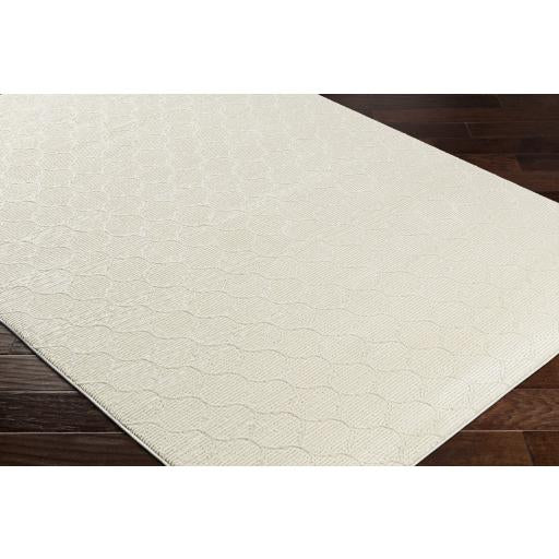 Surya Alder ALD-2307 Cream Ivory 23" x 45" Rug