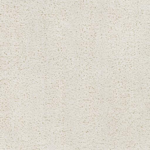 Surya Alfombra AFB-2301 Light Beige 2'3" x 3'9" Rug