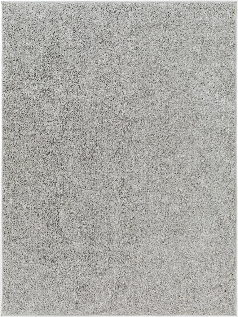 Surya Alfombra AFB-2303 2' x 3' Rug