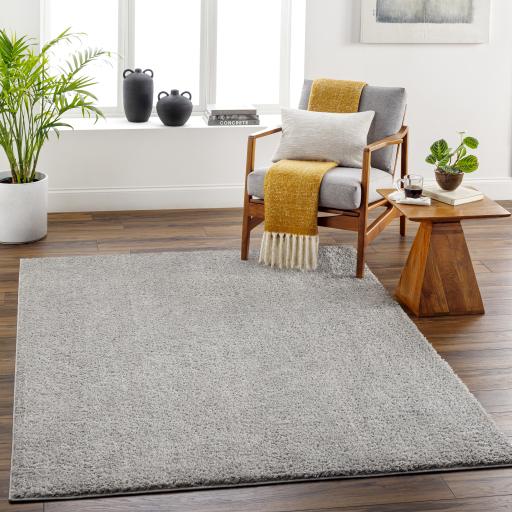 Surya Alfombra AFB-2303 Gray 2' x 3' Rug