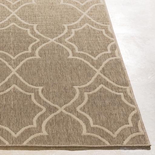 Surya Alfresco ALF-9587 Light Beige Light Brown 7'3" Square Rug