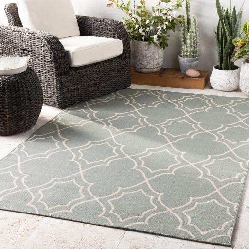 Surya Alfresco ALF-9589 Dusty Sage Light Beige 7'3" Square Rug