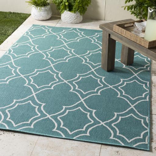 Surya Alfresco ALF-9653 Teal White 2'5" x 11'10" Rug