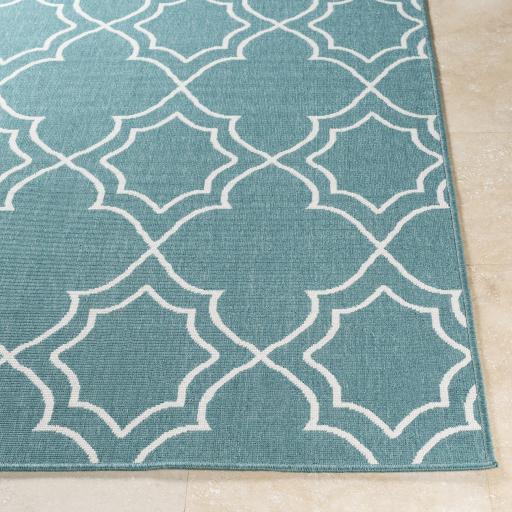 Surya Alfresco ALF-9653 Teal White 2'5" x 11'10" Rug