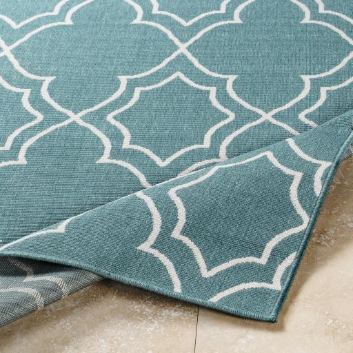 Surya Alfresco ALF-9653 Teal White 2'5" x 11'10" Rug