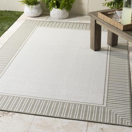 Surya Alfresco ALF-9681 Taupe White 2'5" x 11'10" Rug