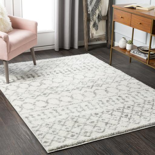 Surya Aliyah Shag ALH-2302 Cream Gray 2' x 2'11" Rug