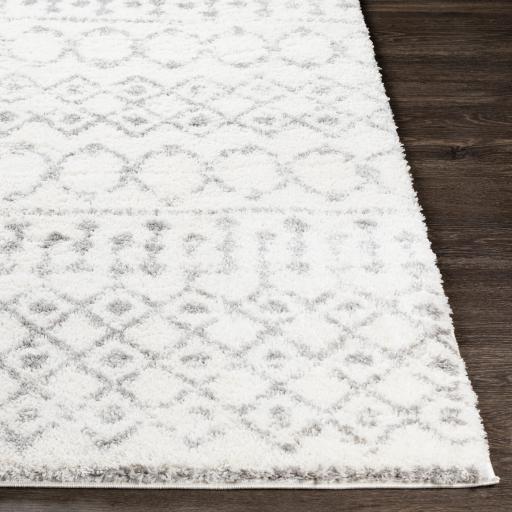 Surya Aliyah Shag ALH-2302 Cream Gray 2' x 2'11" Rug