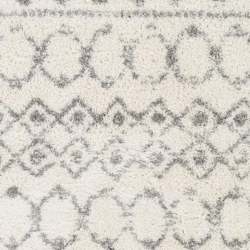 Surya Aliyah Shag ALH-2302 Cream Gray 2' x 2'11" Rug