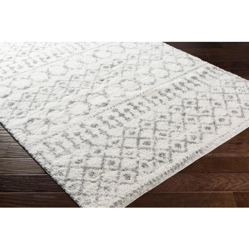 Surya Aliyah Shag ALH-2302 Cream Gray 2' x 2'11" Rug