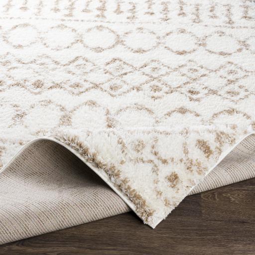 Surya Aliyah Shag ALH-2303 Cream Tan 2' x 2'11" Rug