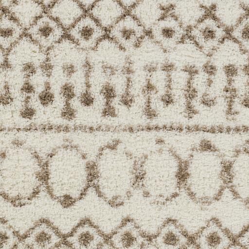 Surya Aliyah Shag ALH-2303 Cream Tan 2' x 2'11" Rug