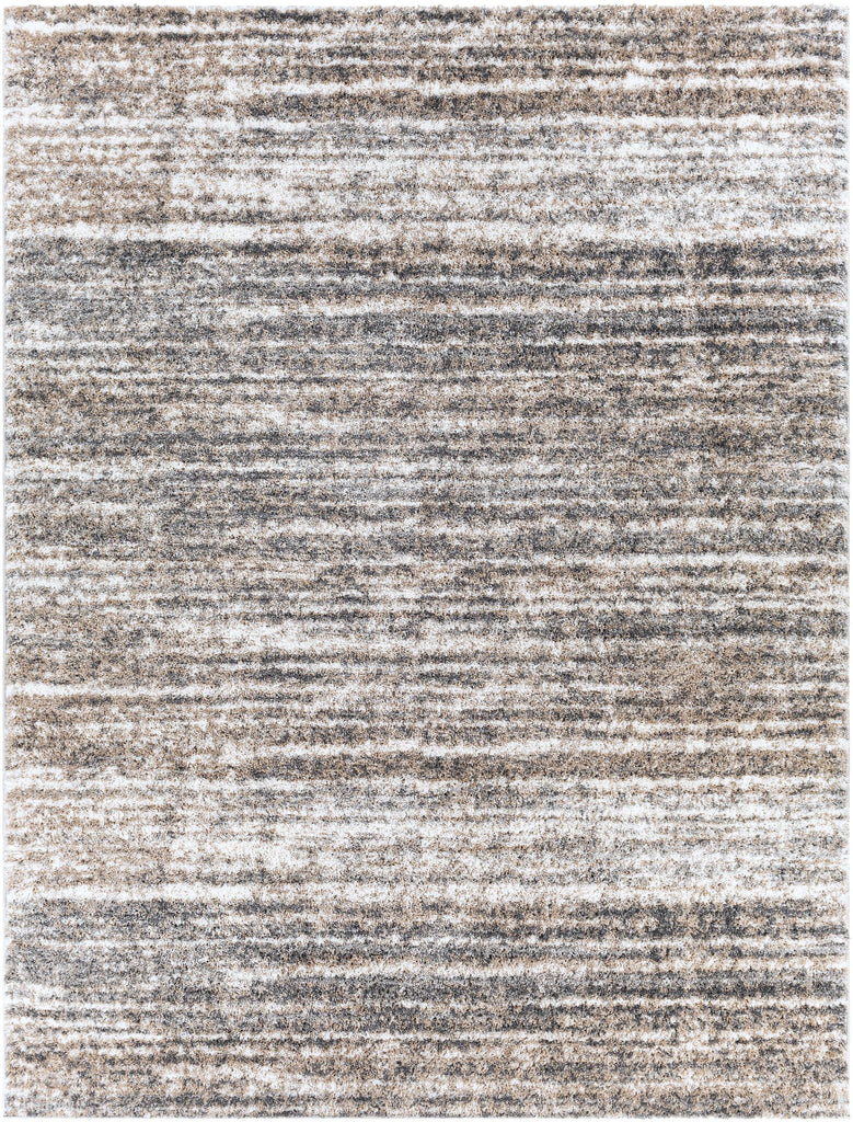 Surya Aliyah Shag ALH-2307 Charcoal Cream 2' x 2'11" Rug