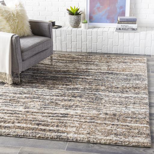 Surya Aliyah Shag ALH-2307 Charcoal Cream 2' x 2'11" Rug