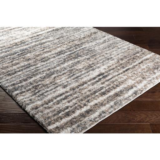 Surya Aliyah Shag ALH-2307 Charcoal Cream 2' x 2'11" Rug