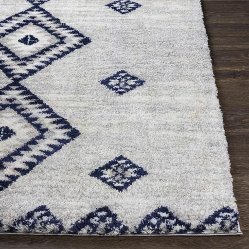 Surya Aliyah Shag ALH-2313 Cream Dark Blue 5'3" x 7'3" Rug