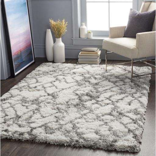 Surya Alta Shag ASG-2300 Gray Light Gray 6'7" x 9' Rug