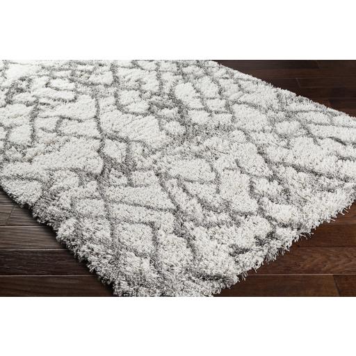 Surya Alta Shag ASG-2300 Gray Light Gray 6'7" x 9' Rug