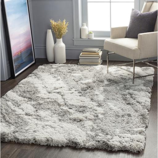 Surya Alta Shag ASG-2301 Gray Light Gray 2' x 2'11" Rug