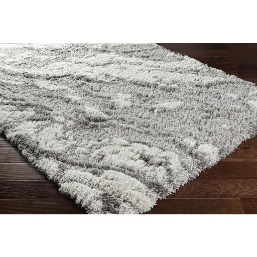 Surya Alta Shag ASG-2301 Gray Light Gray 2' x 2'11" Rug