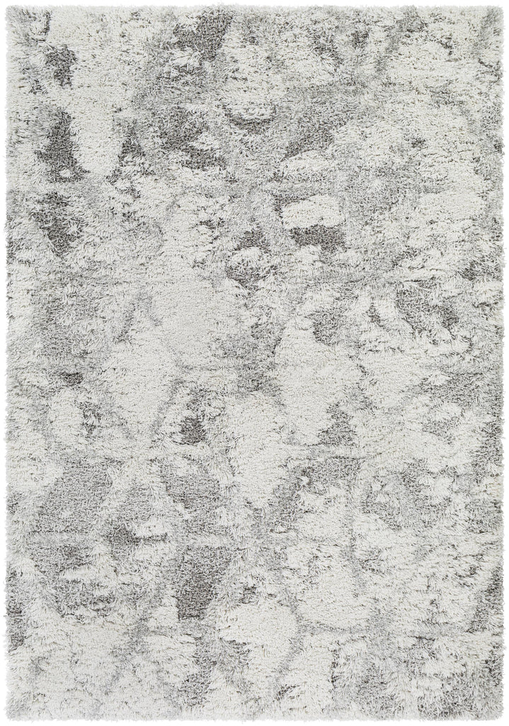 Surya Alta Shag ASG-2302 Light Gray Medium Gray 2' x 2'11" Rug