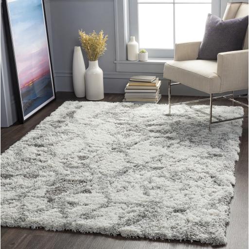 Surya Alta Shag ASG-2302 Light Gray Medium Gray 2' x 2'11" Rug