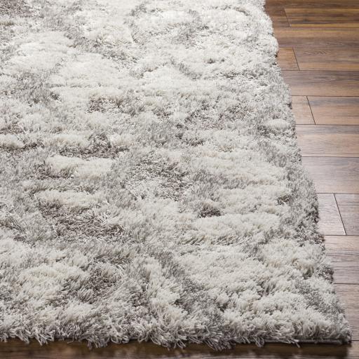 Surya Alta Shag ASG-2302 Light Gray Medium Gray 2' x 2'11" Rug