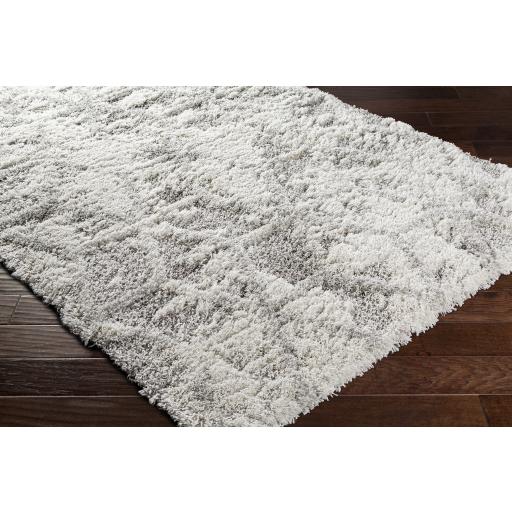 Surya Alta Shag ASG-2302 Light Gray Medium Gray 2' x 2'11" Rug