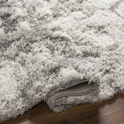 Surya Alta Shag ASG-2302 Light Gray Medium Gray 5'3" x 7' Rug