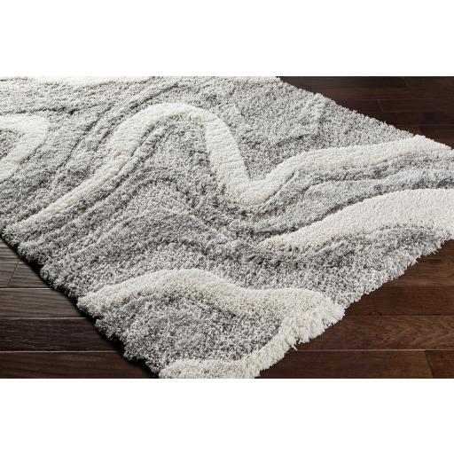 Surya Alta Shag ASG-2303 Charcoal Gray 2' x 2'11" Rug