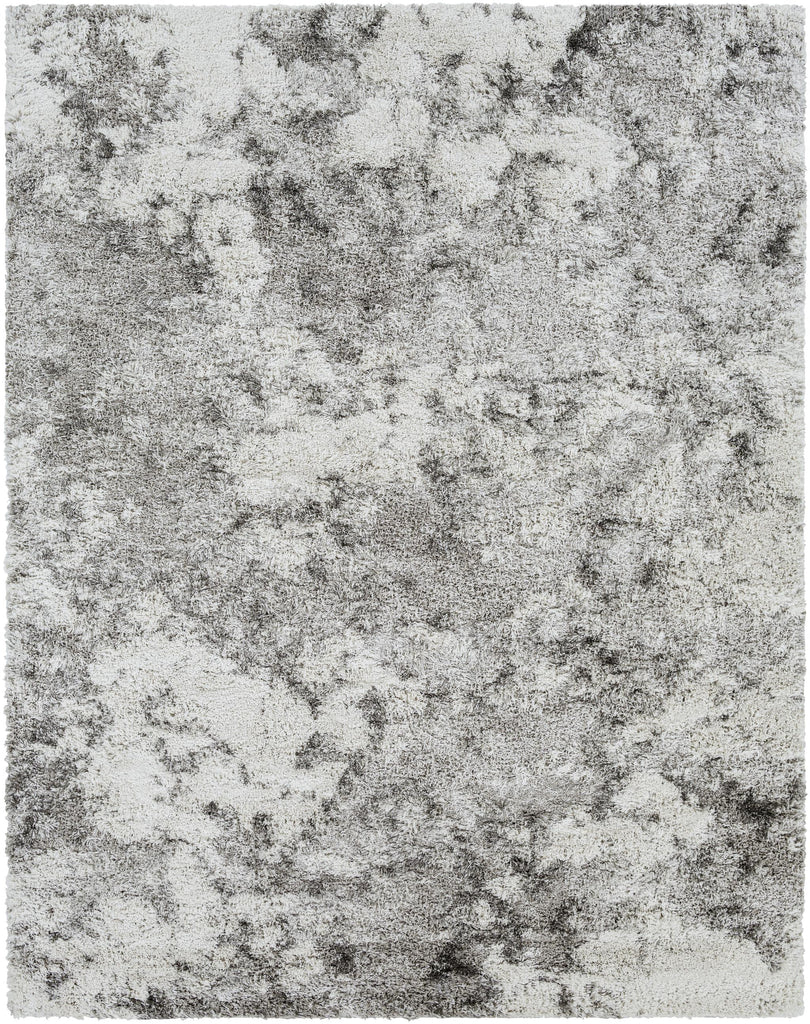 Surya Alta Shag ASG-2304 Gray Light Gray 2' x 2'11" Rug