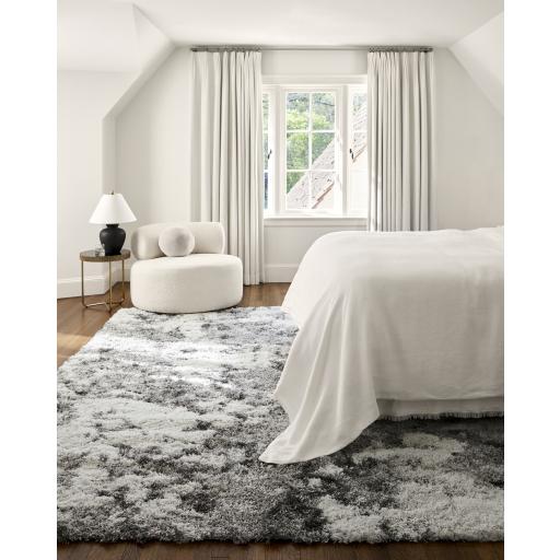 Surya Alta Shag ASG-2304 Gray Light Gray 2' x 2'11" Rug