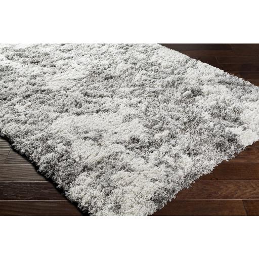 Surya Alta Shag ASG-2304 Gray Light Gray 2' x 2'11" Rug