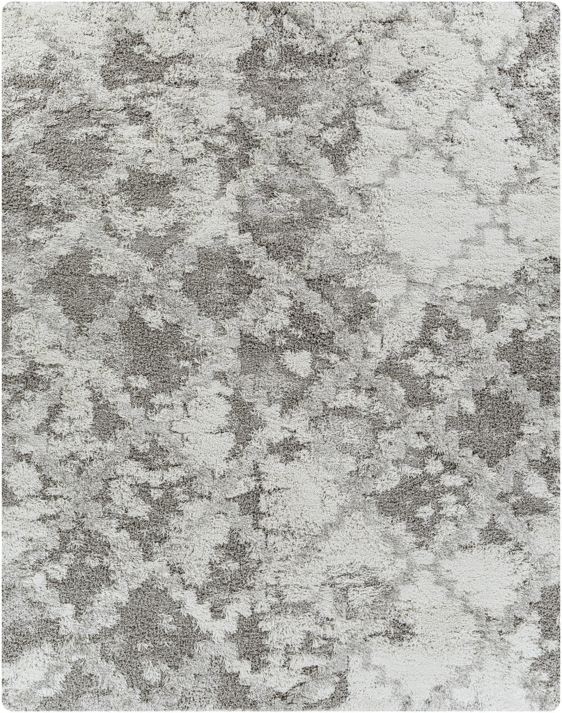 Surya Alta Shag ASG-2305 Gray Light Gray 2' x 2'11" Rug