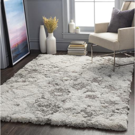 Surya Alta Shag ASG-2305 Gray Light Gray 2' x 2'11" Rug