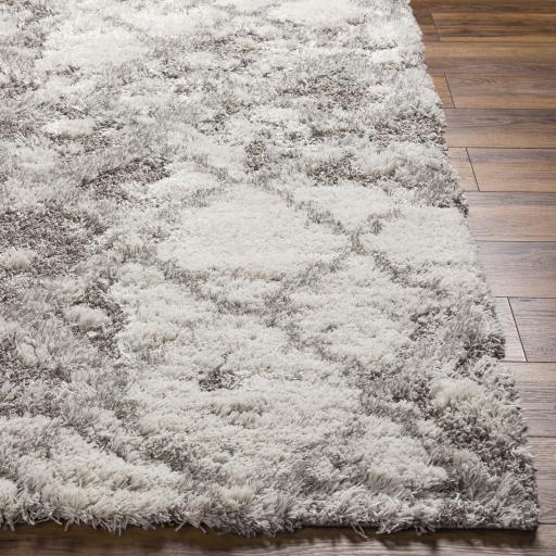 Surya Alta Shag ASG-2305 Gray Light Gray 2' x 2'11" Rug