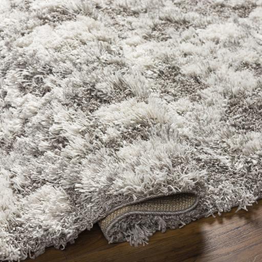 Surya Alta Shag ASG-2305 Gray Light Gray 2' x 2'11" Rug