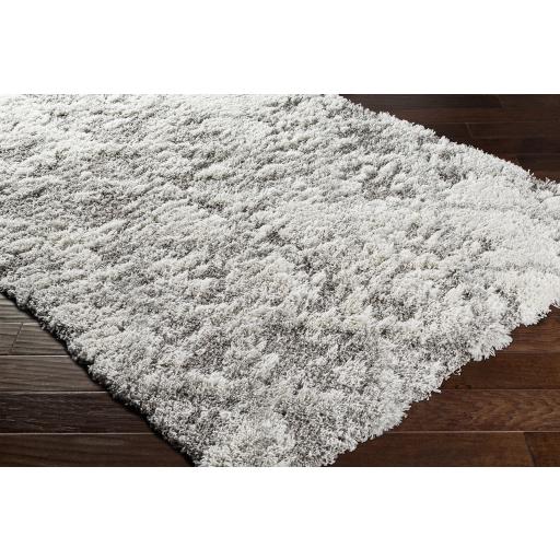 Surya Alta Shag ASG-2305 Gray Light Gray 2' x 2'11" Rug