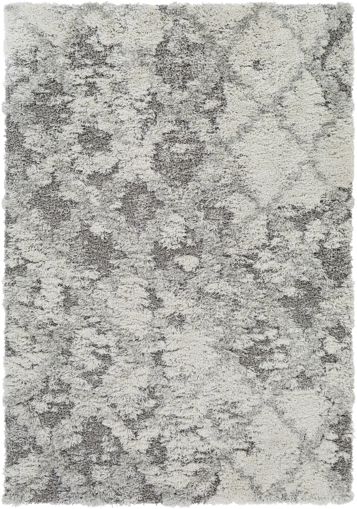 Surya Alta Shag ASG-2305 7'10" x 10' Rug