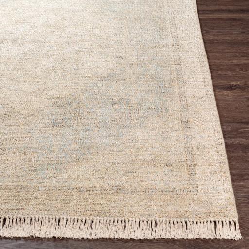 Surya Amasya AMY-2302 Aqua Brown 8'6" x 12' Rug