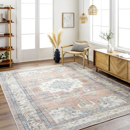 Surya Amelie AML-2319 Aqua Brown 2' x 2'11" Rug