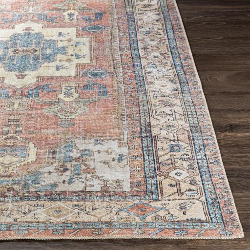 Surya Amelie AML-2319 Aqua Brown 2' x 2'11" Rug