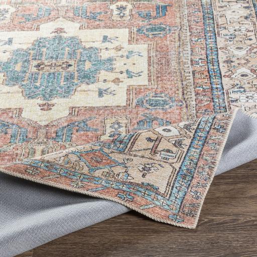 Surya Amelie AML-2319 Aqua Brown 2' x 2'11" Rug