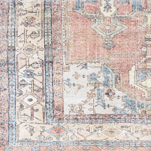 Surya Amelie AML-2319 Aqua Brown 2' x 2'11" Rug