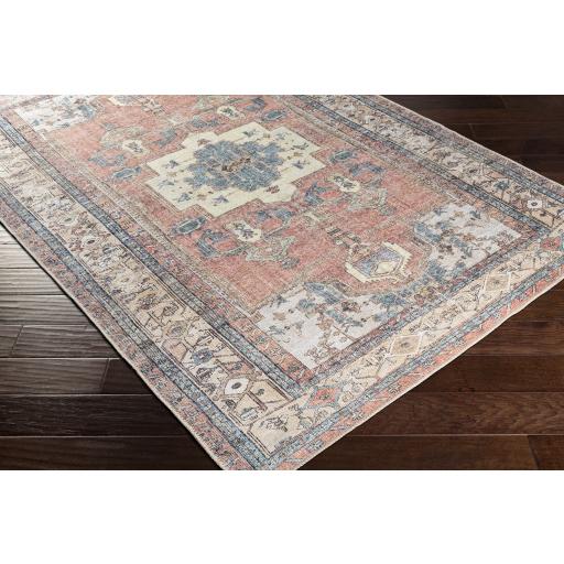 Surya Amelie AML-2319 Aqua Brown 2' x 2'11" Rug