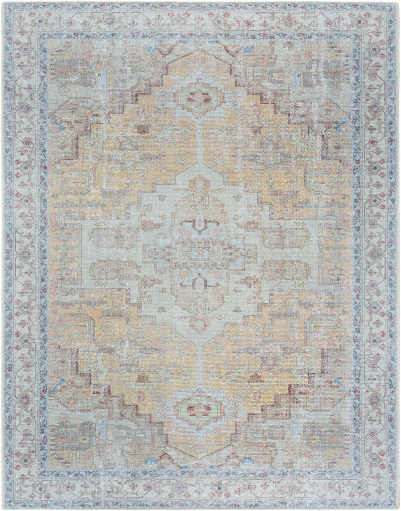 Surya Amelie AML-2373 Dark Brown Light Gray 2' x 2'11" Rug